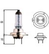 H7 halogeen lamp 12V/100W - H7 12V 100W