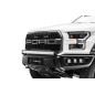 Kühlergrill-Kit - Z-Roadz - OEM Grille Kit - 2x 6'' LED bar (single) - Ford - F150 - Raptor - 2017-2020 Kühlergrill-Kit - Z-Roadz - OEM Grille Kit - 2x 6'' LED bar (single) - Ford - F150 - Raptor - 2017-2020
