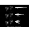 DENALI D2 LED Zusatzbeleuchtung 10W - Set - DNL.D2.10000 - Lights and Styling