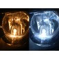 LED lamp - Ledson - 5-Led - BA9S / T4W - White - 24V LED lamp - Ledson - 5-Led - BA9S / T4W - White - 24V