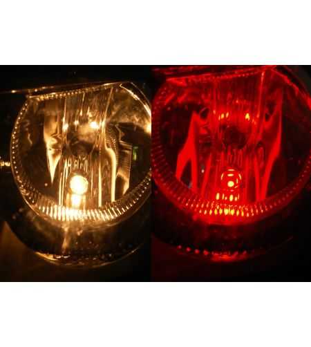 LED lamp - Ledson - 5-Led - BA9S / T4W - Red - 24V