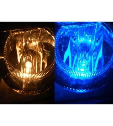 LED lamp - Ledson - 5-Led - BA9S / T4W - Blue - 24V