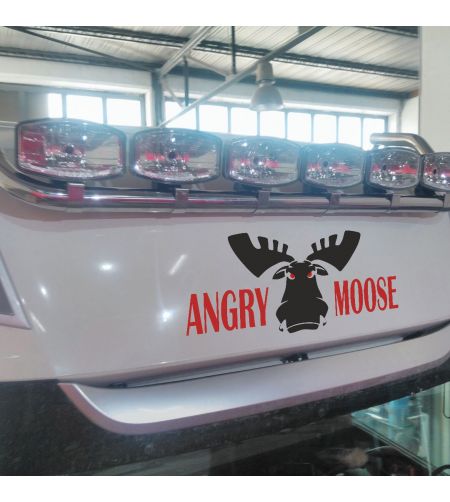 Dakbeugel - Angry Moose Styling - Hoogglans RVS - DAF - XF - Super Space Cab - 2005-2021