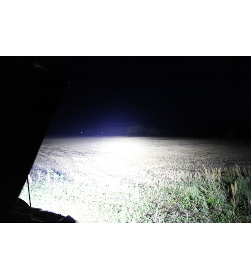 Ledson Pollux9+ Gen 2 LED Spot 33491233 Lights and...