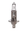 H1 halogen bulb 12V/100W - H1 12V 100W