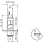 Halogen lamp - L&S - H1 - White - 12V - 130W