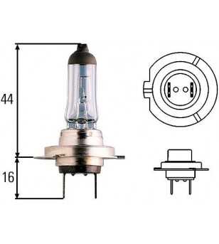 H7 halogeen lamp 12V/55W +120%