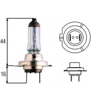 H7 Halogenlampe 12V/55W - H7 12V 55W