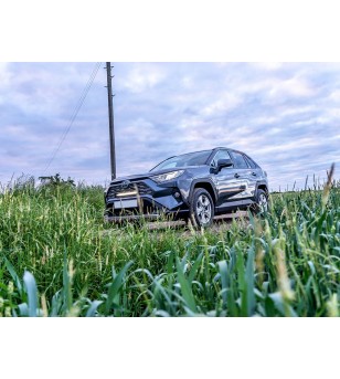 Toyota RAV4 Hybrid (2019+) Grille Kit - GK-RAV4-01K