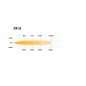 LED bar - Lazer - Air 55 - 16.2" - 41.1cm - Positielicht Wit/Amber - Driving LED bar - Lazer - Air 55 - 16.2" - 41.1cm - Positielicht Wit/Amber - Driving