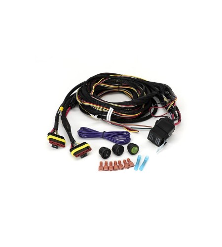 Kabelsats för två lampor (6-stift, Superseal, 12V) - 2L-LP-6C-350 - Lights and Styling
