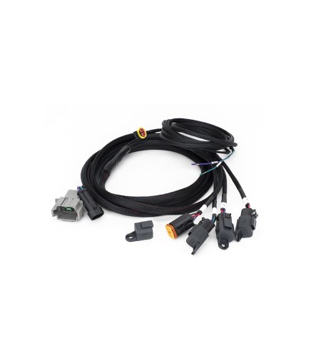 Kabelset - Lazer - 4 lampen - 4 pins - Deutsch DT04-08 - 12V