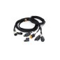 Kabelsatz - Lazer - 4 Lampen - 4 Pins - IIT - 12V Kabelsatz - Lazer - 4 Lampen - 4 Pins - IIT - 12V