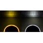 Protective cover - Ledson - Castor 7 - Amber