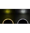 Ledson sarox 9+ beschermkap   | 33499910 