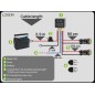Wiring kit - Ledson - Connect - Reversing light - 2 lamps - 2 pins - Deutsch DT - 12V