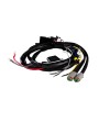 Kabelset - Ledson - 2 lampen - 4 pins - Deutsch DT - 12V