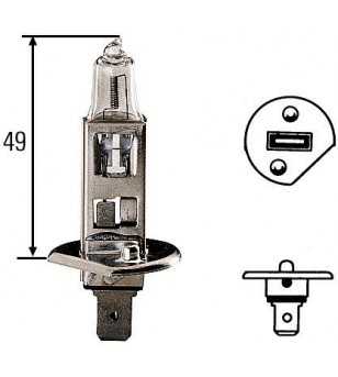 H1 halogeen lamp 24V/70W - H1 24V 70W