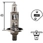 Halogenlampa - L&S - H1 - Vit - 24V - 70W