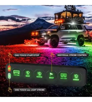 Controller - L&S - RC 6-Switch - Trådlös - Kontrollpanel - 12V-24V -