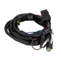 Wiring kit - Ledson - Connect - 1 lamp - 2 pins - Deutsch DT - 12V