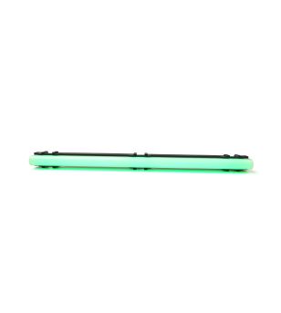 Interior lighting - WAS - LW15 - Neon - 25cm - Click on housing - incl hinges - Clear - Green - 12V-24V