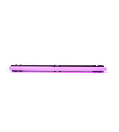 Interior lighting - WAS - LW15 - Neon - 25cm - Click on housing - incl hinges - Clear - Purple - 12V-24V