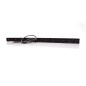 Tail light - WAS - W260 - Neon - 21.1" - 53.5cm - Smoke - Tail - Ind - 12V-24V