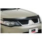Steinschlagschutz - Mitsubishi - Outlander - 2010-2012