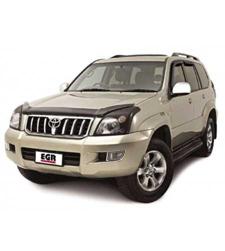 Steinschlagschutz - Toyota - Landcruiser 120 - 2002-2009