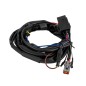 Kabelsats - Ledson - Connect - 1 lampa - 2 pinnar - DTP/ATP - 12V