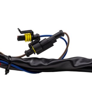 Wiring kit - Ledson - 1 lamp - 2 pins - DTP/ATP - 12V