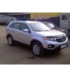 Sorento 09- Hood Guard - 18041L