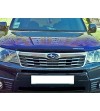 Forester 08- Hood Guard - 37071L