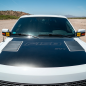 Montering - SDHQ - Monteringsfäste A-pelare - Set - Ford - F150 Raptor - 2010-2014 Montering - SDHQ - Monteringsfäste A-pelare - Set - Ford - F150 Raptor - 2010-2014