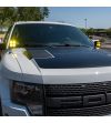 Montage - SDHQ - Halterung A-Säule - Satz - Ford - F150 Raptor - 2010-2014