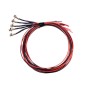 Interior lighting - Matronics - Mini Spot - Amber/Yellow/Red/Green/Red//Blue - 12V - Set of 5