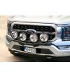 Lampenbügel - QPAX - Q-light - Ford - F150 - 2021+