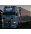 Ledstrip - Ledson - Truck Hoekschild/Vuilafstoter - Dual Color - Wit/Amber - 24V - Set