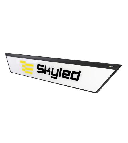 Leuchtkasten - Skyled - Neon Pro - 54.3" - 138cm - Super dünn - DAF - XG+ - 2022+