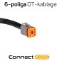 Wiring kit - Ledson - Connect - 2 lamps - 6 pins - Deutsch DT - 12V
