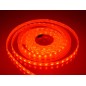 Ledstrip - Matronics - Indoor RGBW - 196.9" - 500cm - Self-adhesive - White/Yellow/Red/Blue - 24V Ledstrip - Matronics - Indoor RGBW - 196.9" - 500cm - Self-adhesive - White/Yellow/Red/Blue - 24V