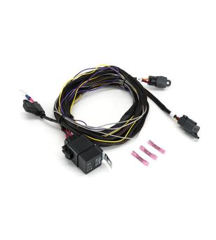 Kabelsatz - Lazer - 2 Lampen - Inkl. Schalter - 4 Pins - Deutsch DT - 12V