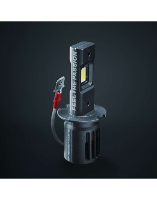 LED lamp - Strands - Big Energy LED conversion kit - H3 - 0.6" - 1.9cm - White - 5700K - 12V-24V - 12W - Set