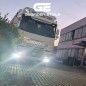 Logo lighting - Grafiden Style - Height 11cm - White/Amber/Red/Green/Blue - 12V-24V - DAF - XD/XF/XG/XG+ - 2021+ Logo lighting - Grafiden Style - Height 11cm - White/Amber/Red/Green/Blue - 12V-24V - DAF - XD/XF/XG/XG+ - 2021+