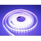 Ledstrip - Matronics - RGBW - 78.7" - 200cm - Zelfklevend - Wit/Geel/Rood/Groen/Blauw - 12V-24V