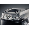 Dakbeugel - Lightfix - Sky-light Wing - Voorbekabeld - Hoogglans RVS - DAF - XG+ - 2021+
