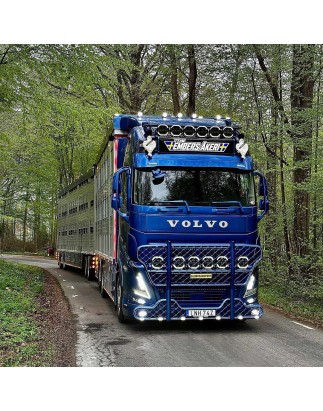 Sonnenblende - TruckStyle Sweden - Höhe 31.5cm - Volvo - FH/FM/FMX - 4/5/Aero - Globetrotter/Globetrotter XL - 2013+