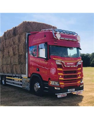 Solskydd - TruckStyle Sweden - Bow - Höjd 35cm - Scania - G/L/P/R/S - 2016+
