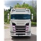 Stenskottsskydd - TruckStyle Sweden - Stoneguard Honeycomb - Bianco - Scania - G/L/P/R/S - 2016+
